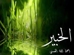 الخــــبير